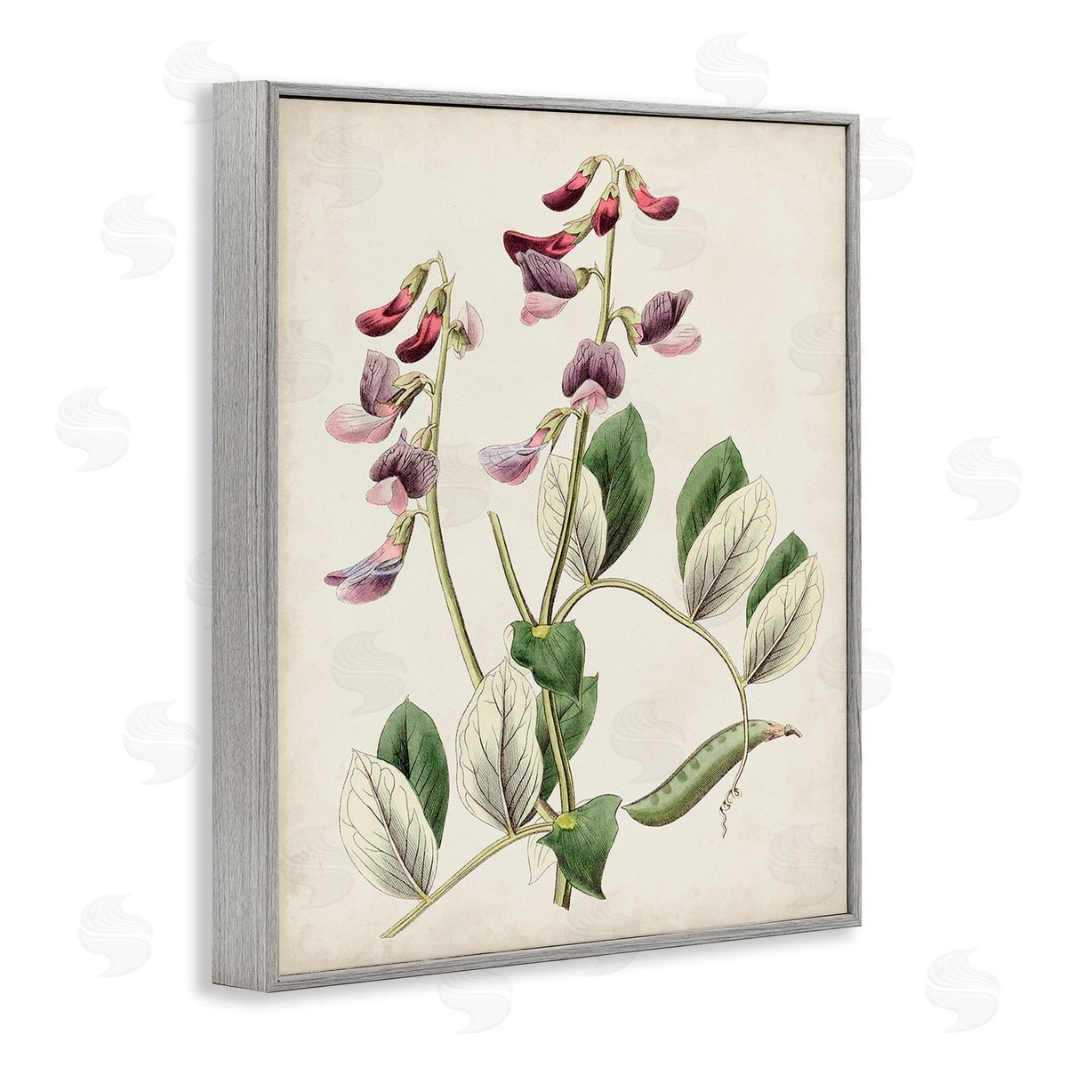 Ridgeway Vintage Foxglove Study Gray Framed Giclee Wall Art Print