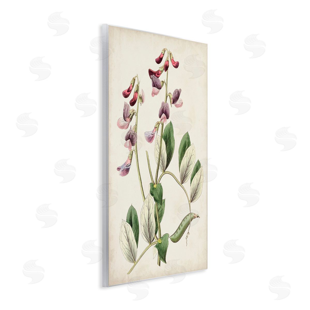Ridgeway Vintage Foxglove Study Wooden Wall Plaque Art Print