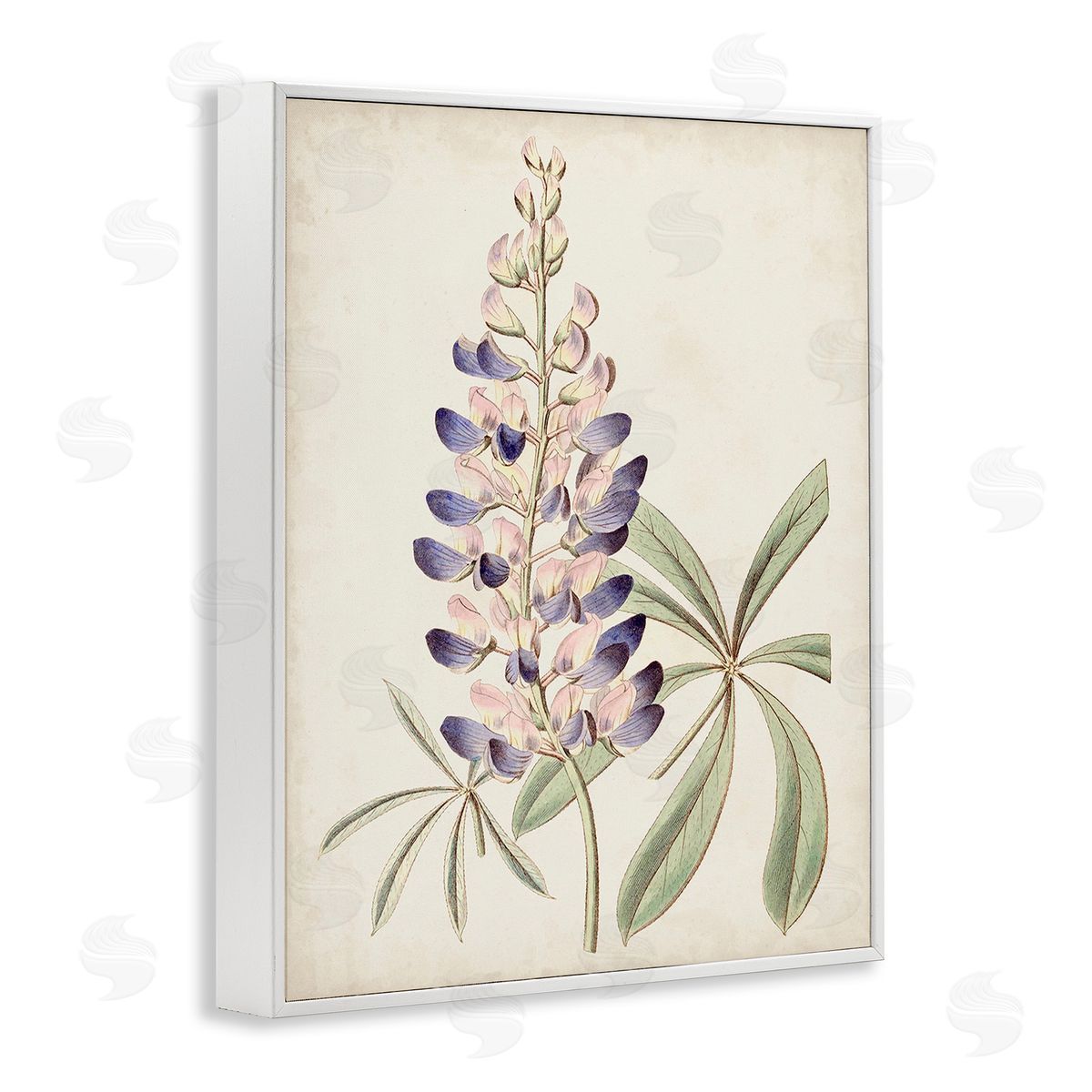 Ridgeway Vintage Lupin Plant White Framed Giclee Wall Art Print