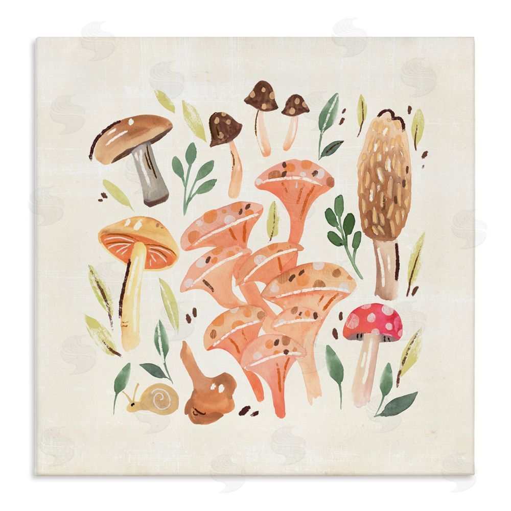 Annie Warren Varied Mushrooms & Snail Stretched Canvas Wall Art Print