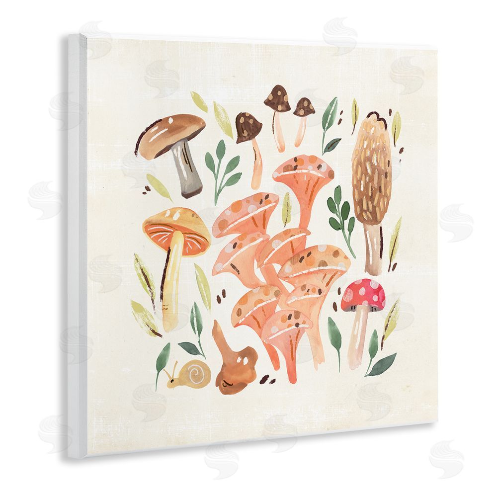 Annie Warren Varied Mushrooms & Snail Wooden Wall Plaque Art Print