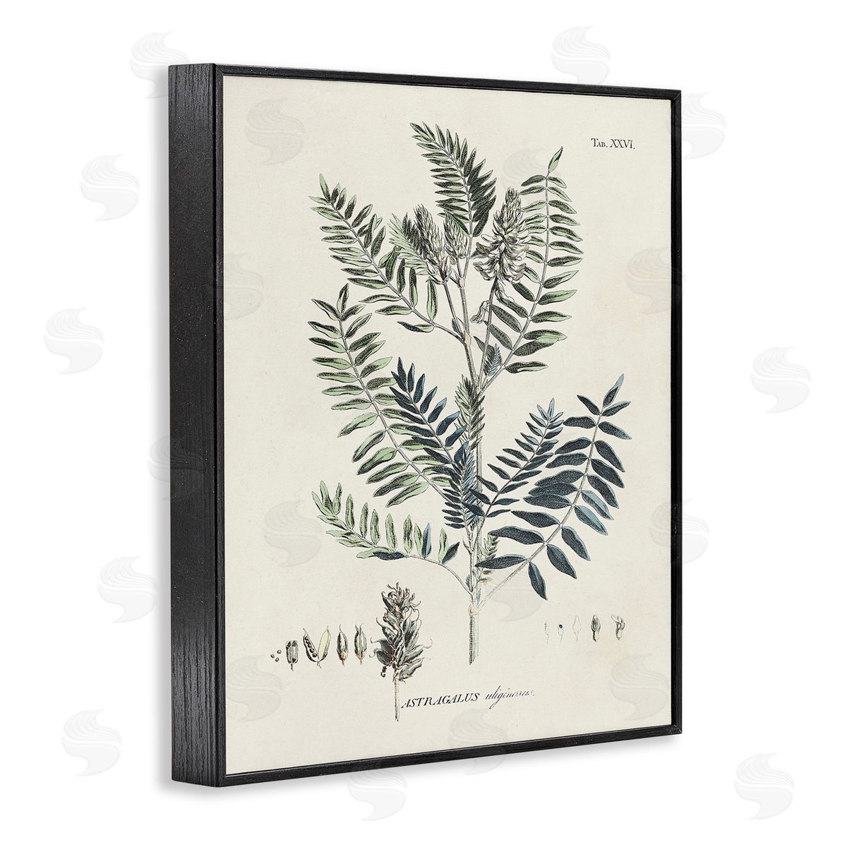 Martini Vintage Leaf Diagram Black Framed Giclee Wall Art Print