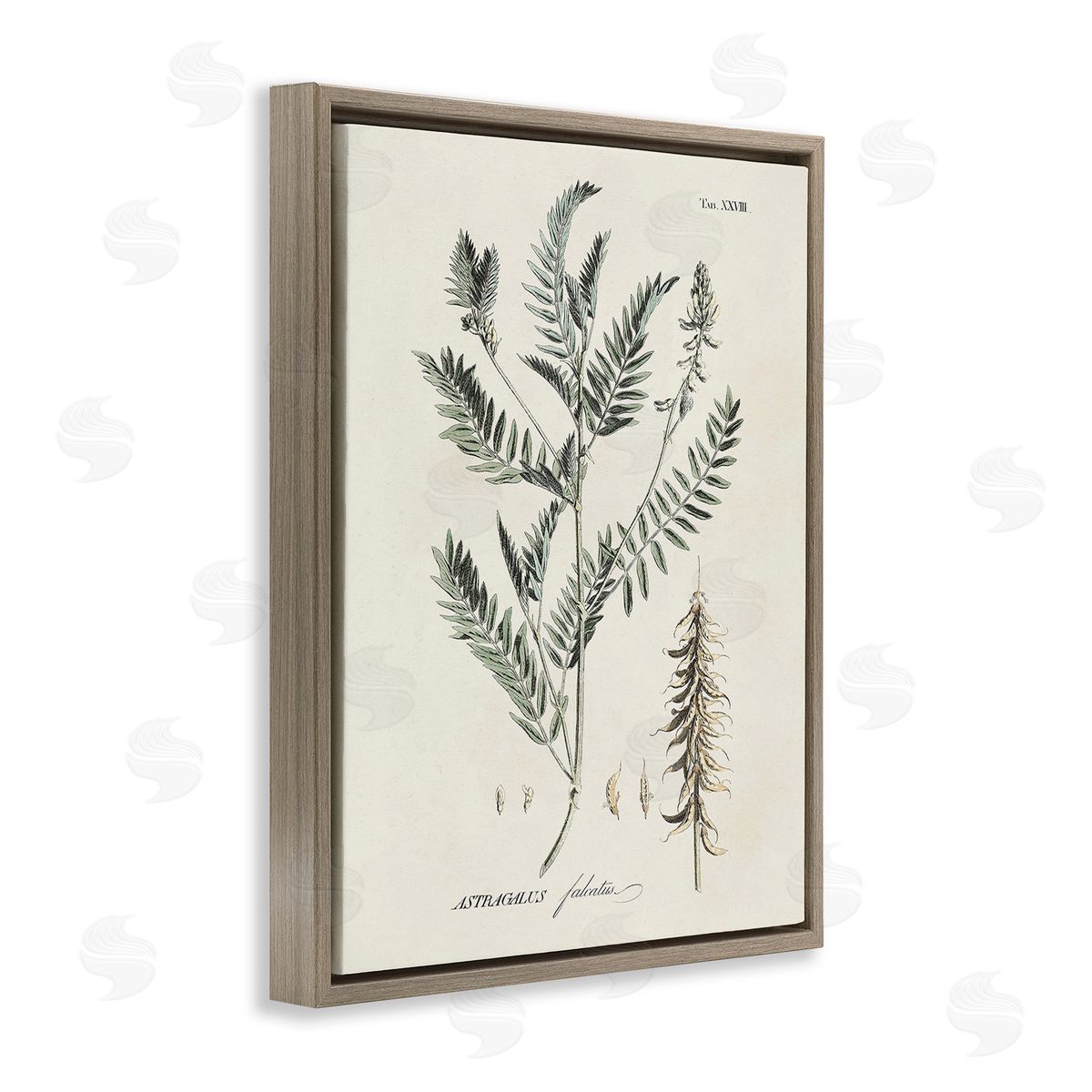 Martini Woodland Leaf Study Brown Floating Frame Canvas Wall Art Print