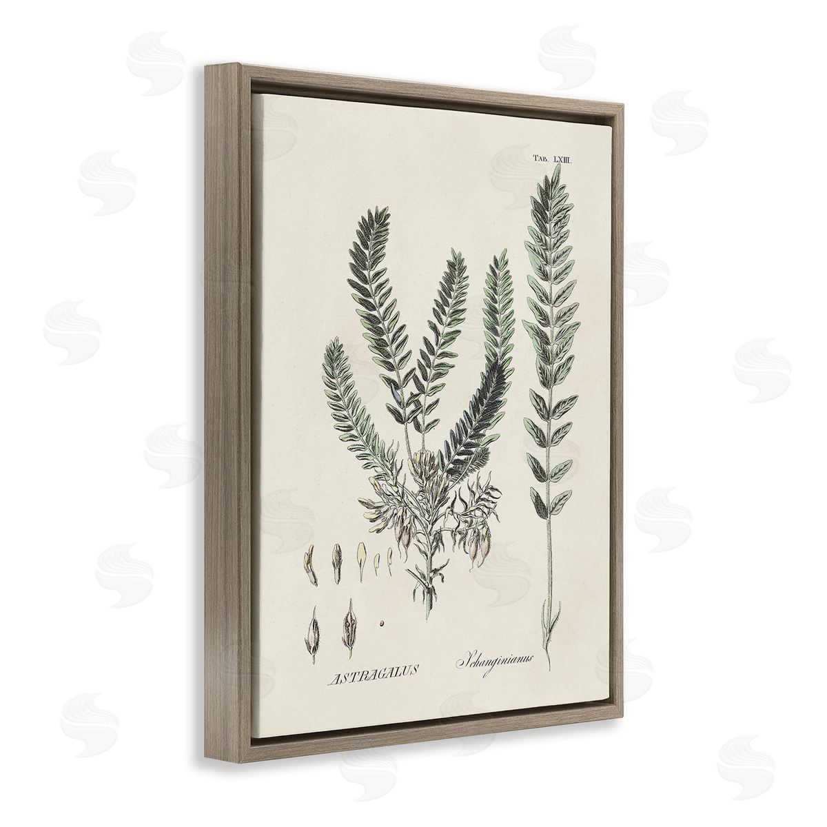Martini Forest Leaves Diagram Brown Floating Frame Canvas Wall Art Print