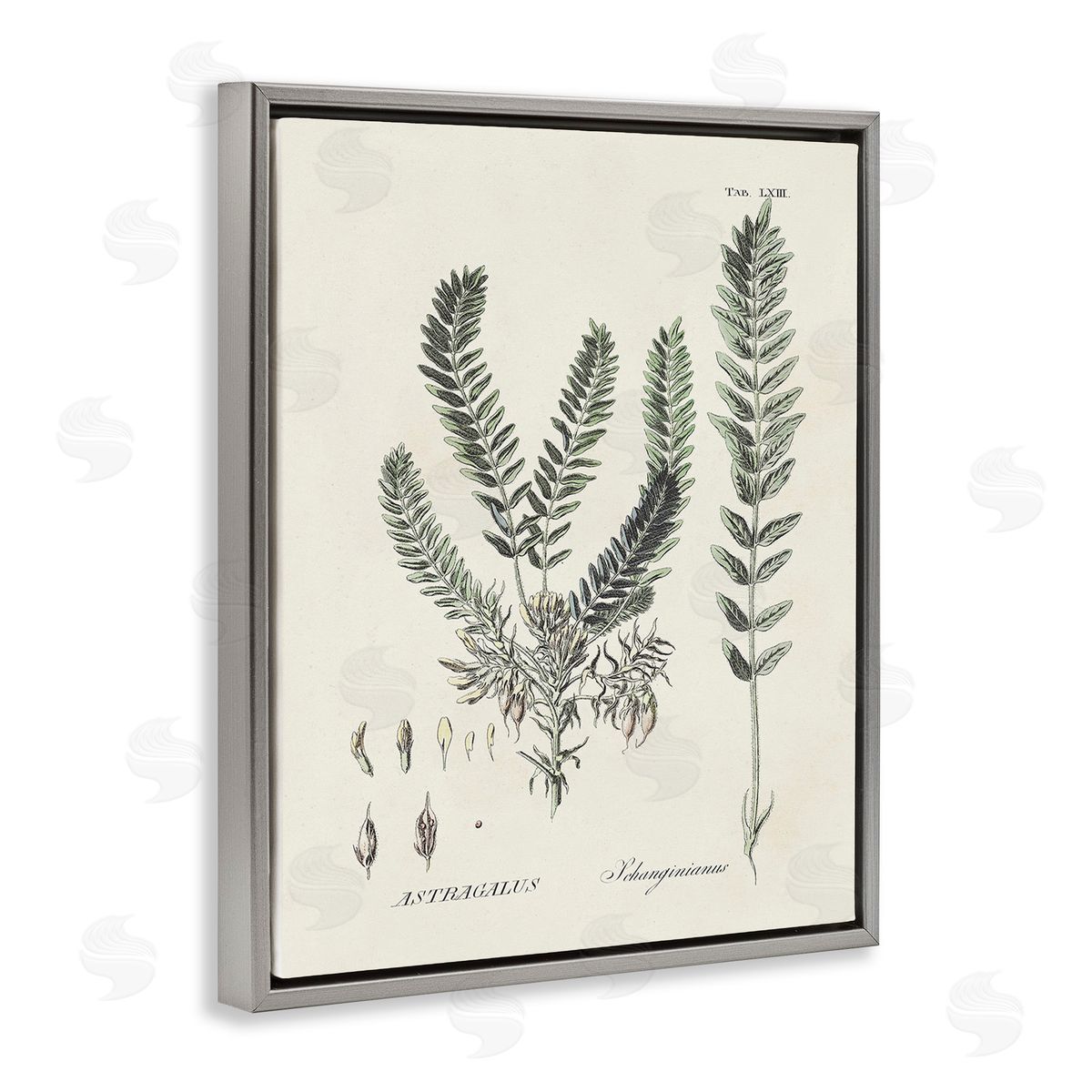 Martini Forest Leaves Diagram Gray Floating Frame Canvas Wall Art Print