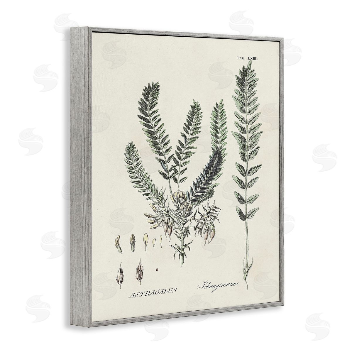Martini Forest Leaves Diagram Gray Framed Giclee Wall Art Print