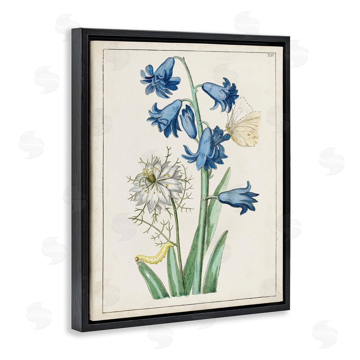 World Art Group Nature Bulbs with Moth Black Floating Frame Canvas Wall Art Print