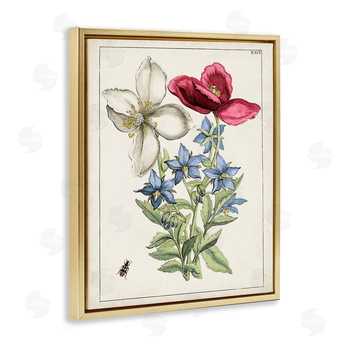 World Art Group Vintage Beetle & Flowers Gold Floating Frame Canvas Wall Art Print
