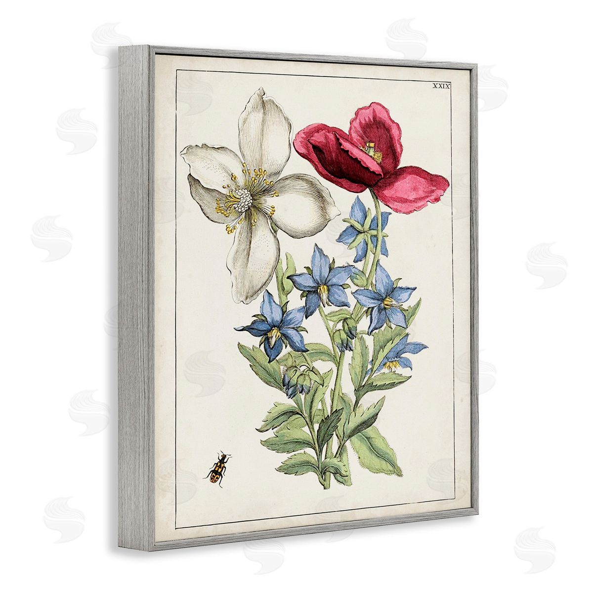 World Art Group Vintage Beetle & Flowers Gray Framed Giclee Wall Art Print