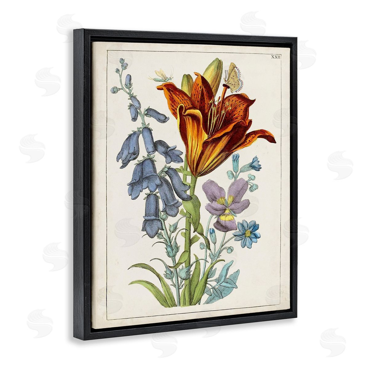 World Art Group Bugs & Vintage Flowers Black Floating Frame Canvas Wall Art Print