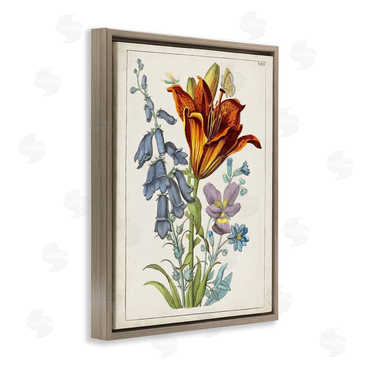 World Art Group Bugs & Vintage Flowers Brown Floating Frame Canvas Wall Art Print