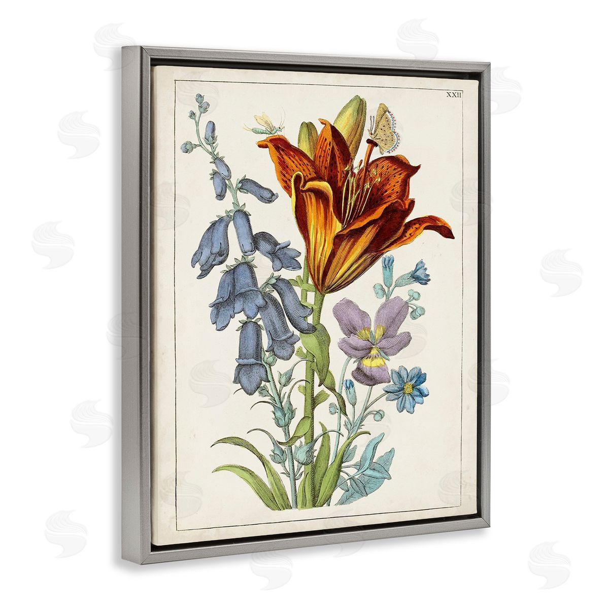 World Art Group Bugs & Vintage Flowers Gray Floating Frame Canvas Wall Art Print
