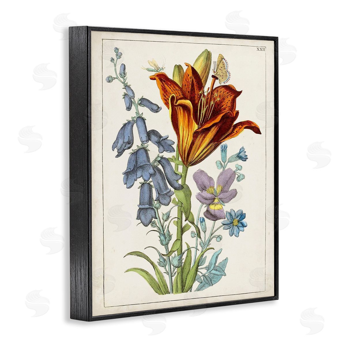 World Art Group Bugs & Vintage Flowers Black Framed Giclee Wall Art Print