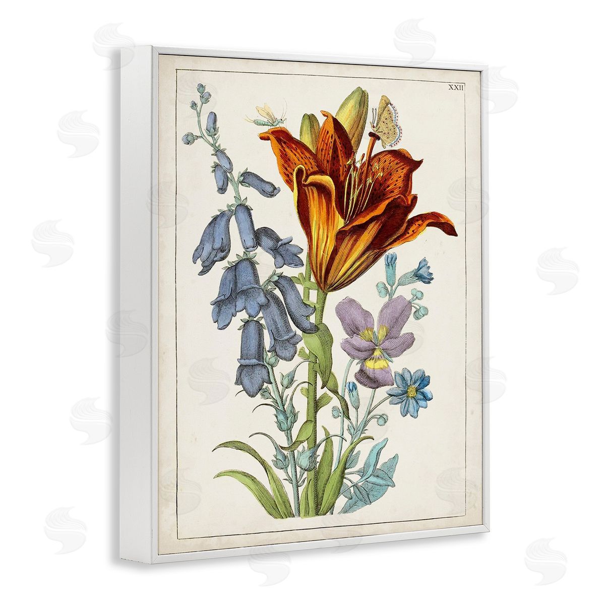 World Art Group Bugs & Vintage Flowers White Framed Giclee Wall Art Print