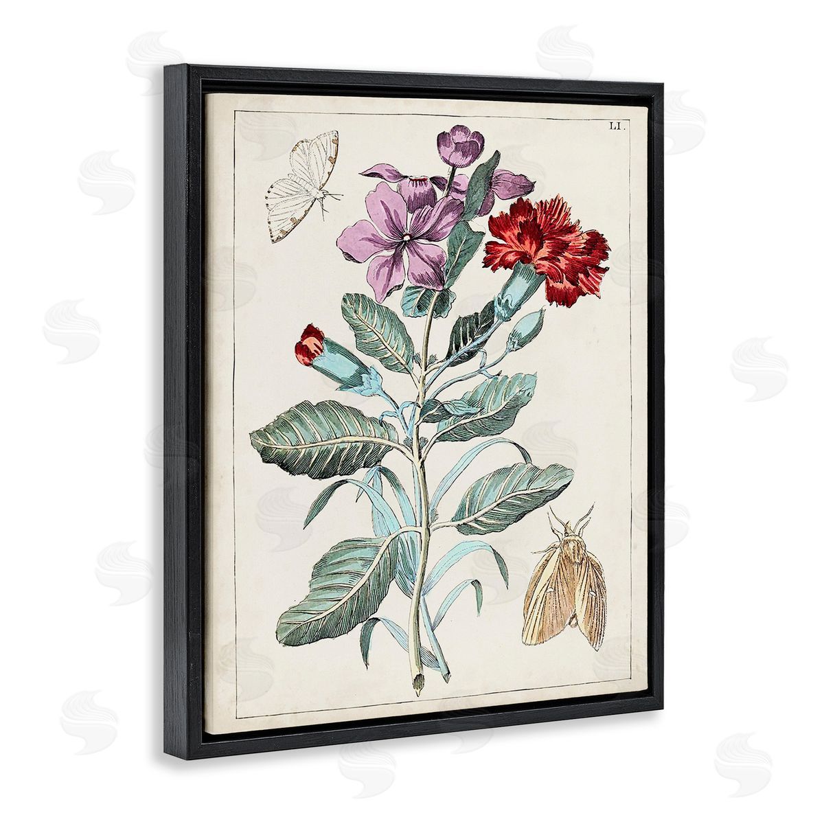World Art Group Vintage Moths with Flowers Black Floating Frame Canvas Wall Art Print