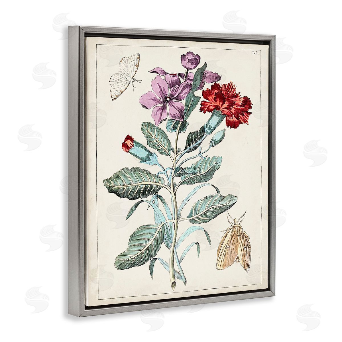 World Art Group Vintage Moths with Flowers Gray Floating Frame Canvas Wall Art Print
