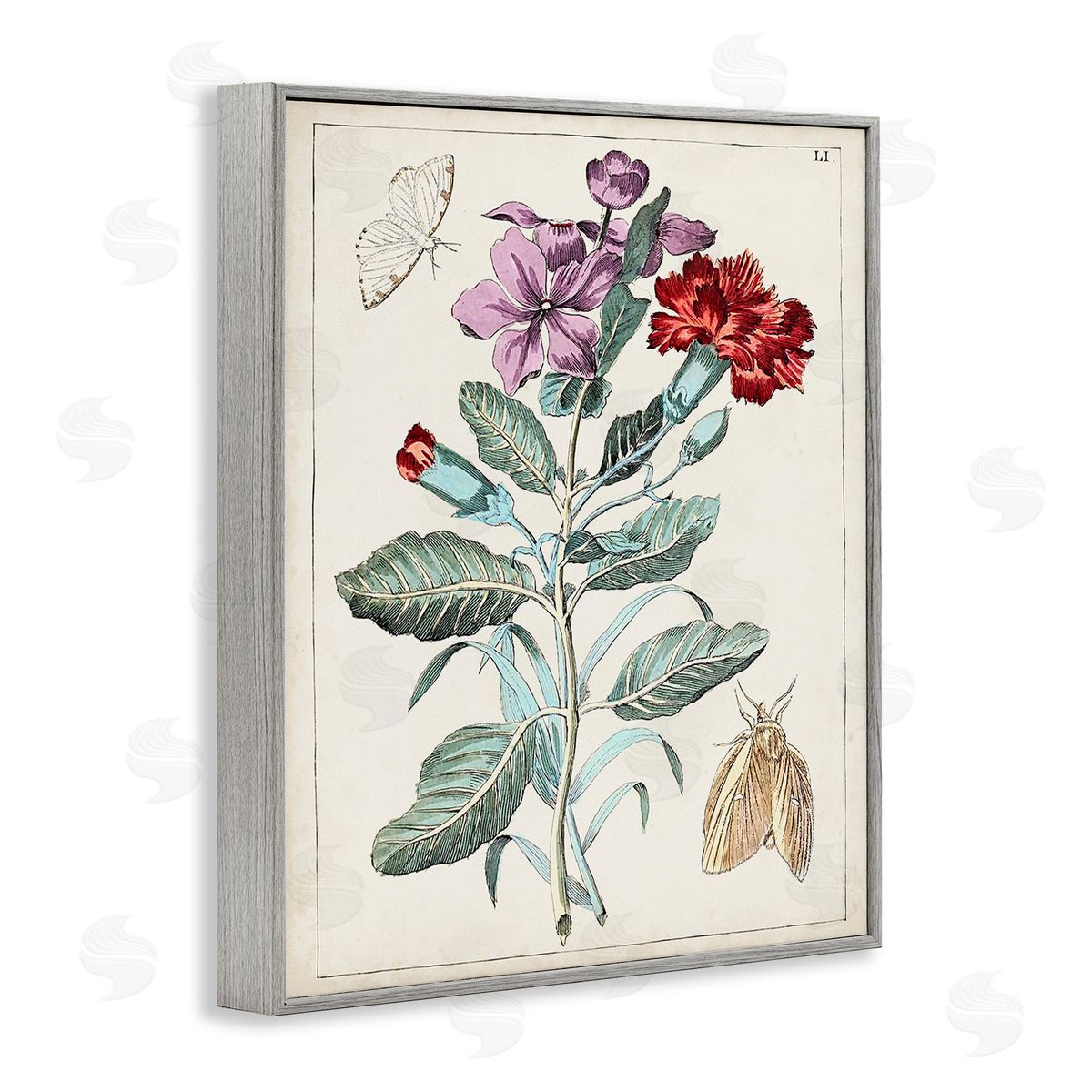World Art Group Vintage Moths with Flowers Gray Framed Giclee Wall Art Print