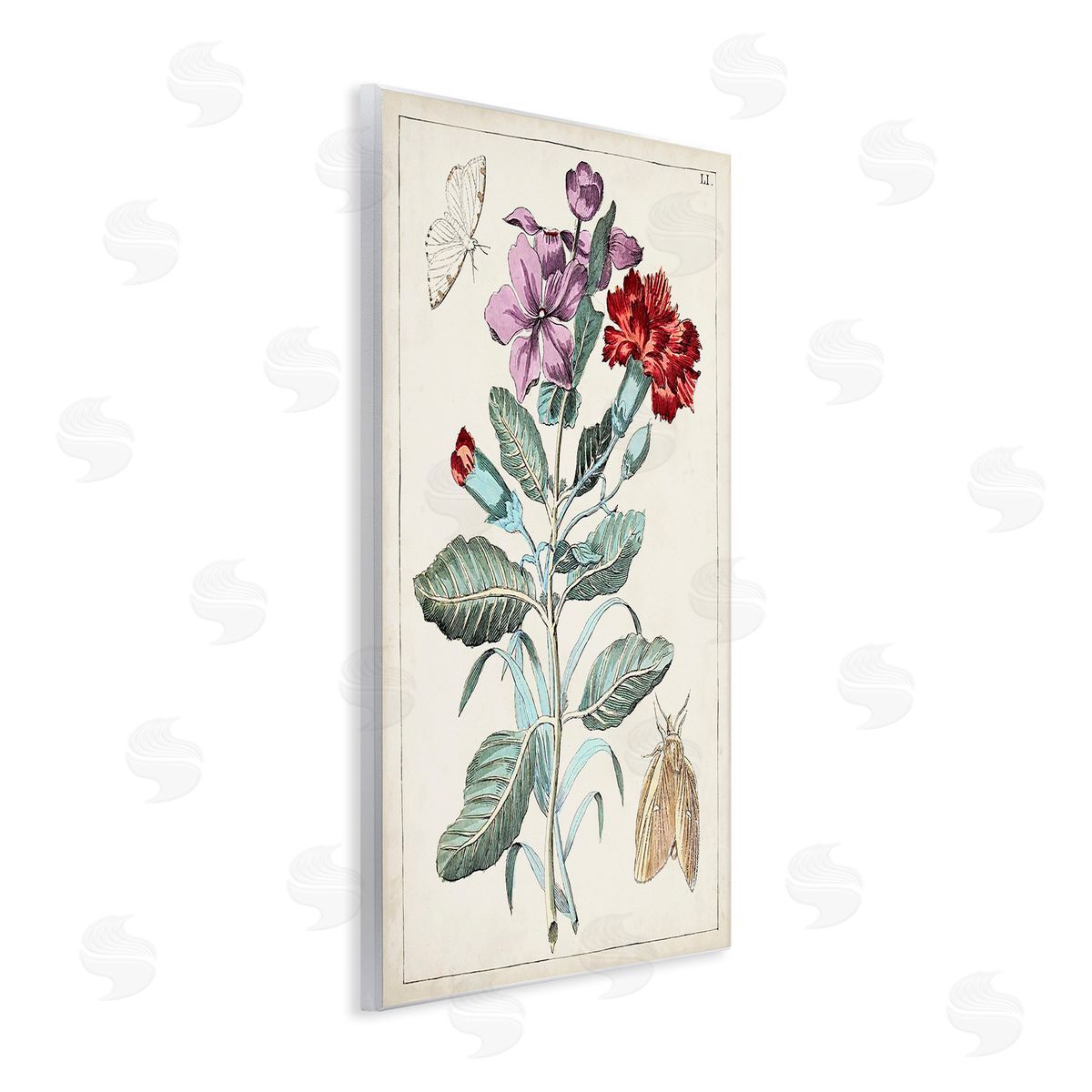 World Art Group Vintage Moths with Flowers Wooden Wall Plaque Art Print