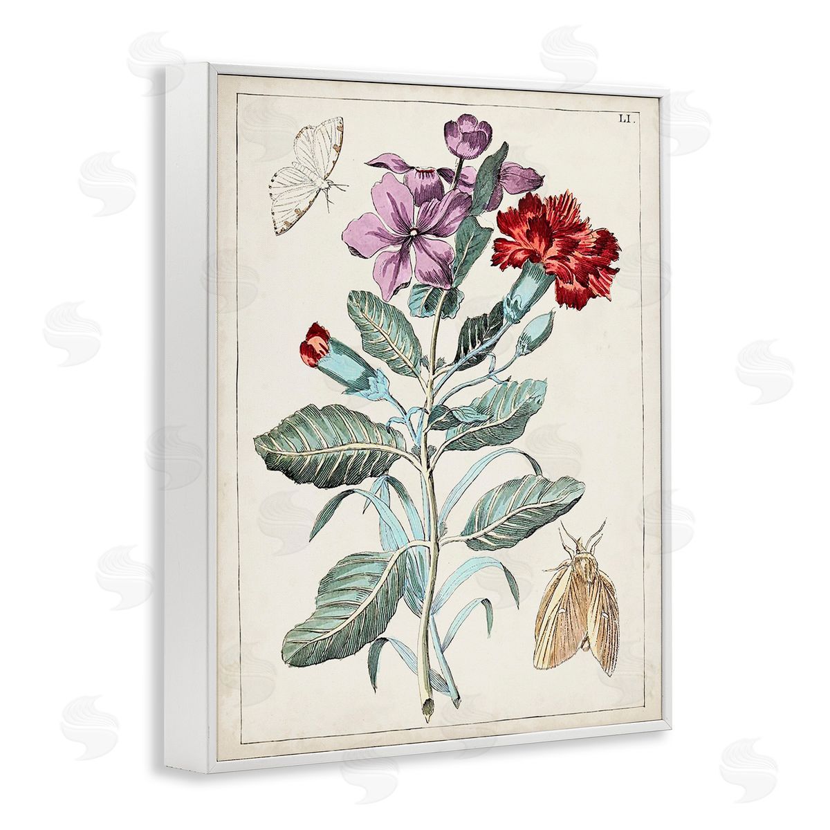 World Art Group Vintage Moths with Flowers White Framed Giclee Wall Art Print