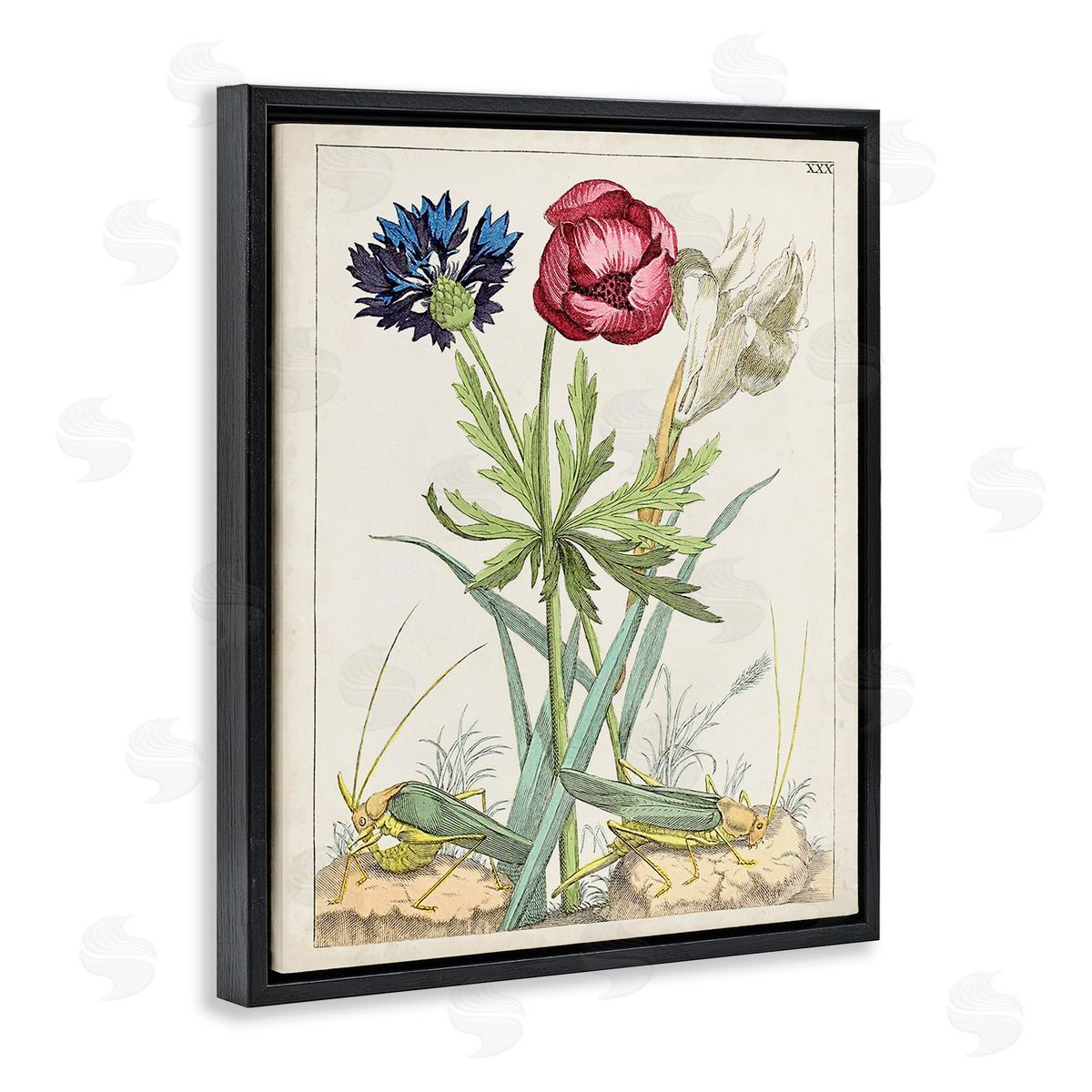 World Art Group Blooming Bulbs & Grasshoppers Black Floating Frame Canvas Wall Art Print