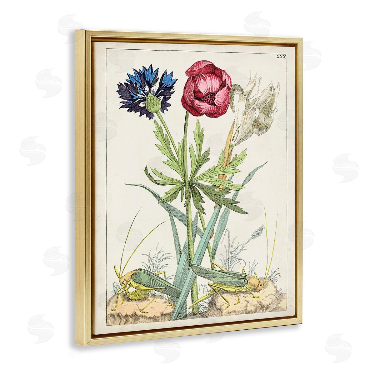 World Art Group Blooming Bulbs & Grasshoppers Gold Floating Frame Canvas Wall Art Print