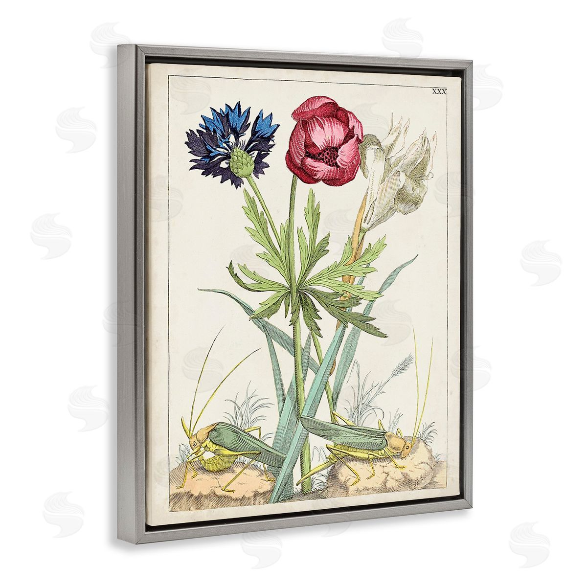 World Art Group Blooming Bulbs & Grasshoppers Gray Floating Frame Canvas Wall Art Print