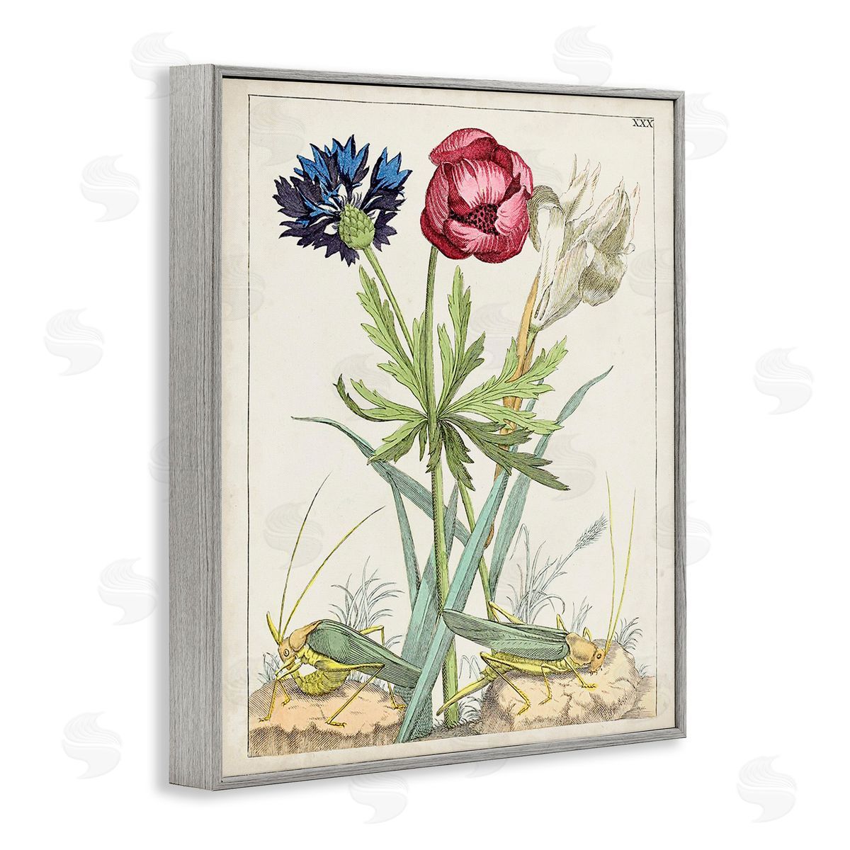 World Art Group Blooming Bulbs & Grasshoppers Gray Framed Giclee Wall Art Print