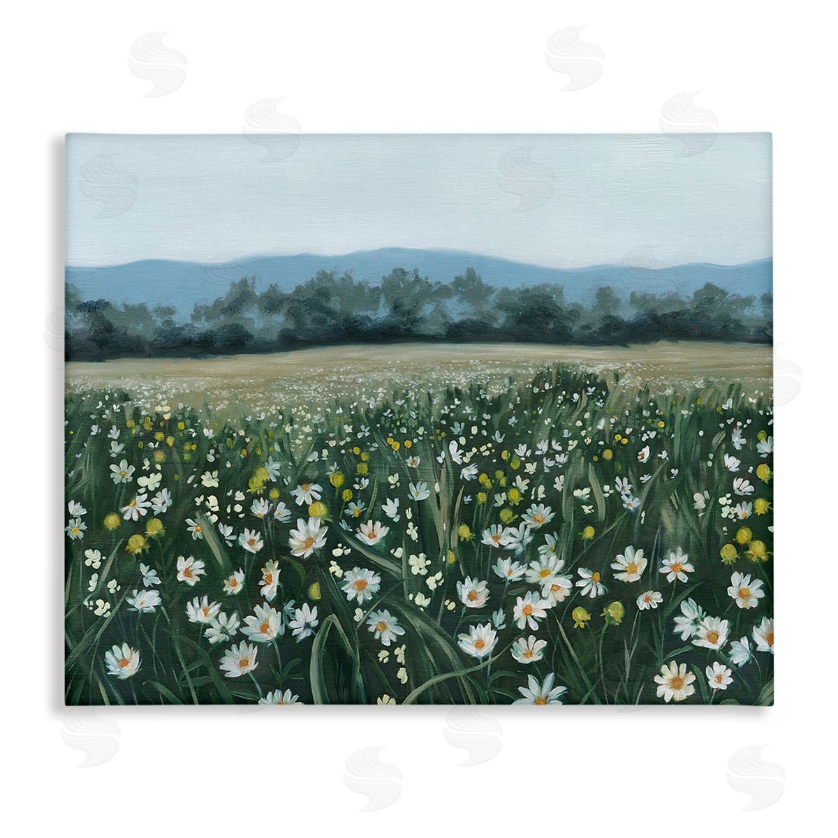 Grace Popp Traditional Daisy Meadow Canvas Wall Art Print