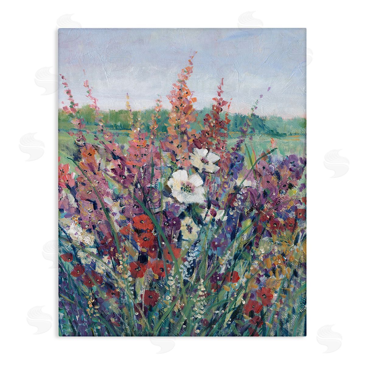 Tim O'Toole Blooming Country Botanicals Canvas Wall Art Print