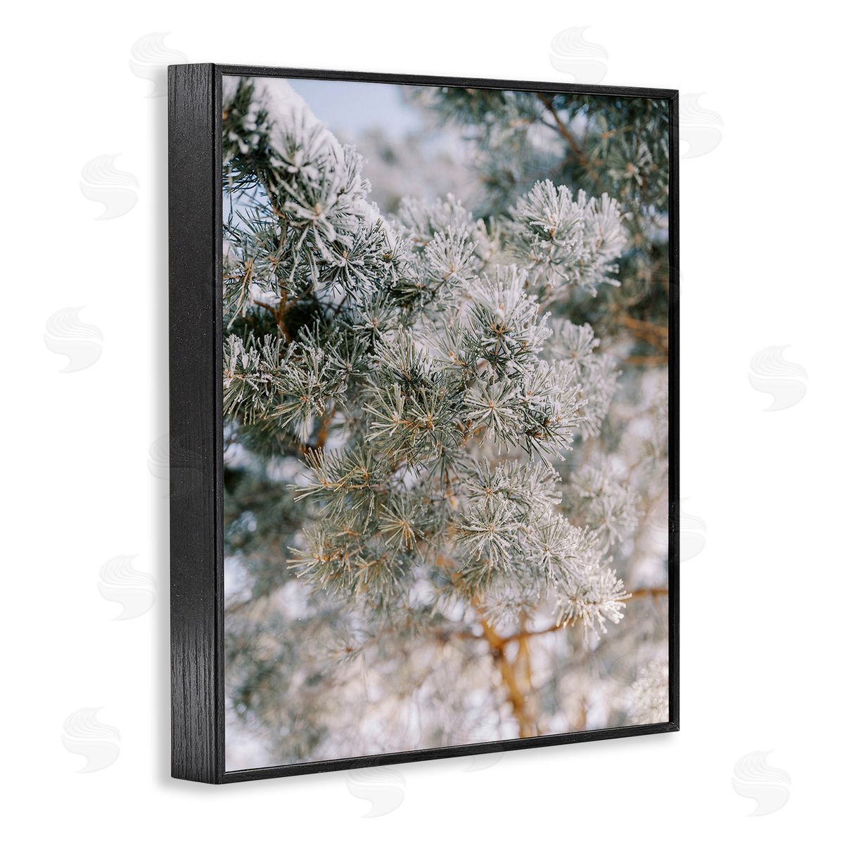 Justine Milton Frosted Fir Tree Branches Black Framed Giclee Wall Art Print