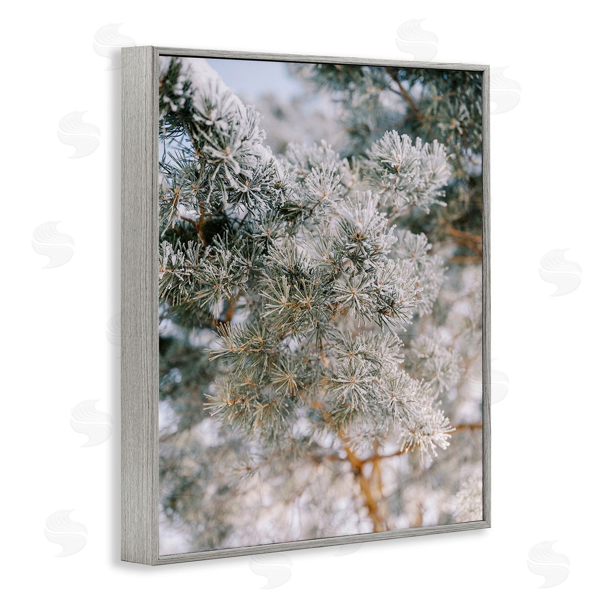 Justine Milton Frosted Fir Tree Branches Gray Framed Giclee Wall Art Print