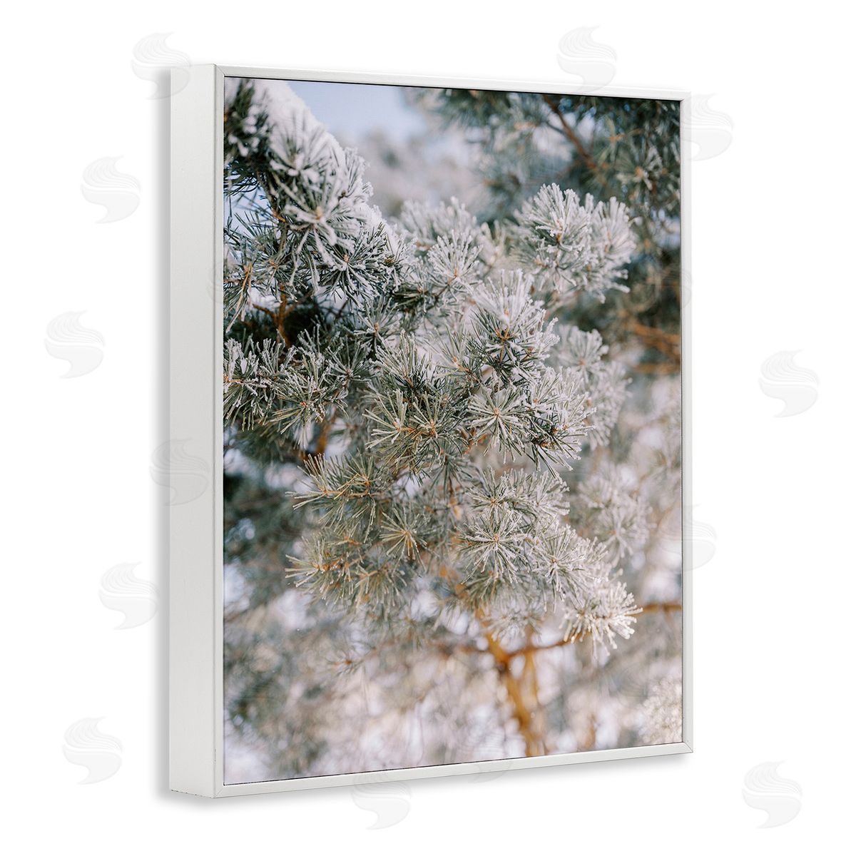 Justine Milton Frosted Fir Tree Branches White Framed Giclee Wall Art Print