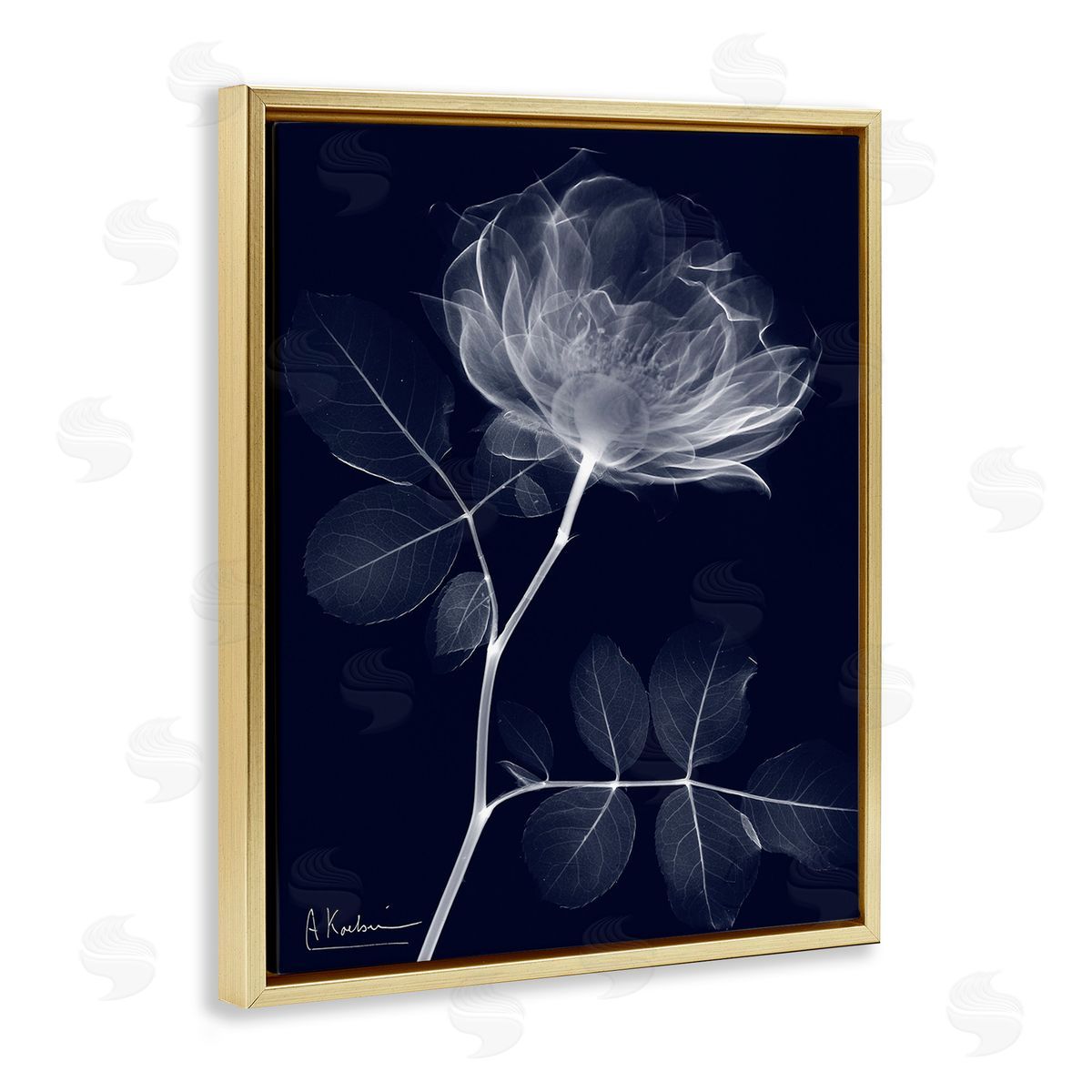 Albert Koetsier Dynamic Dark Flower Gold Floating Frame Canvas Wall Art Print