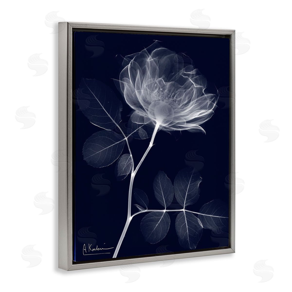 Albert Koetsier Dynamic Dark Flower Gray Floating Frame Canvas Wall Art Print