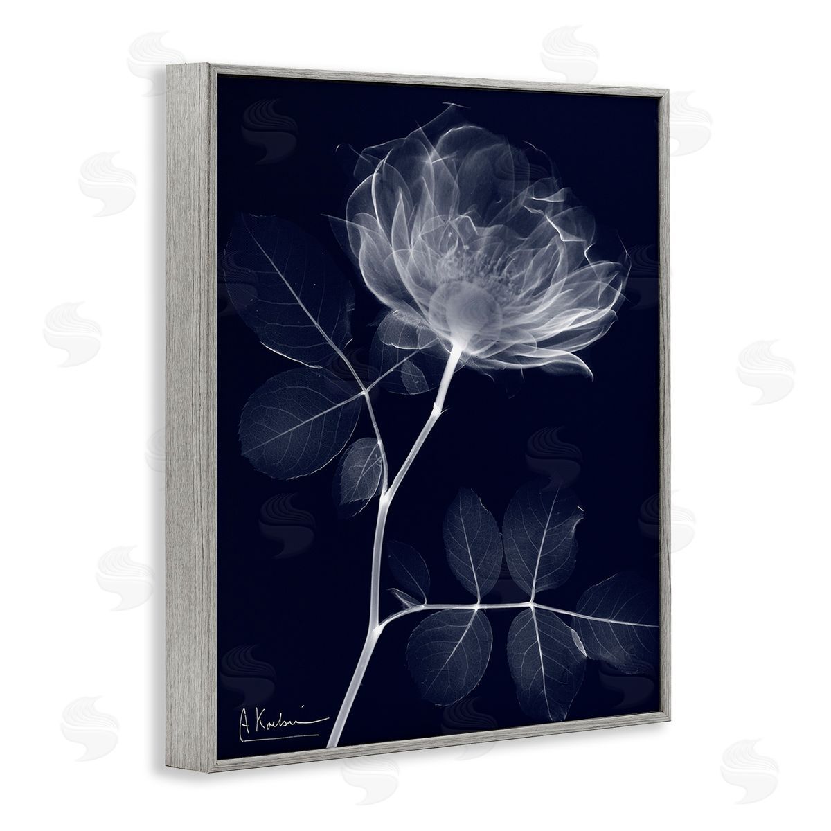 Albert Koetsier Dynamic Dark Flower Gray Framed Giclee Wall Art Print