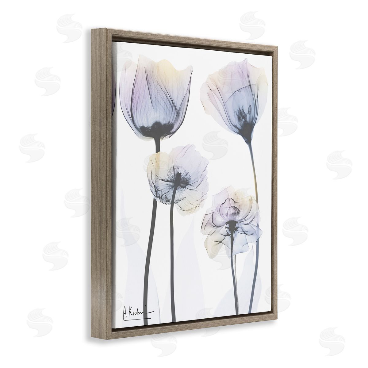 Albert Koetsier Subtle Flower Shapes Brown Floating Frame Canvas Wall Art Print