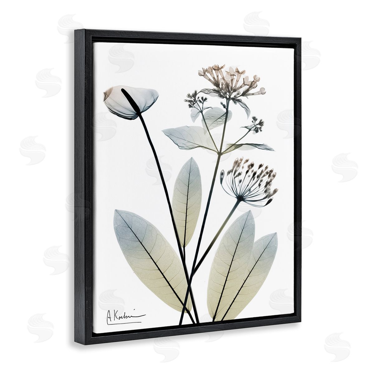 Albert Koetsier Contemporary Flower Shapes Black Floating Frame Canvas Wall Art Print
