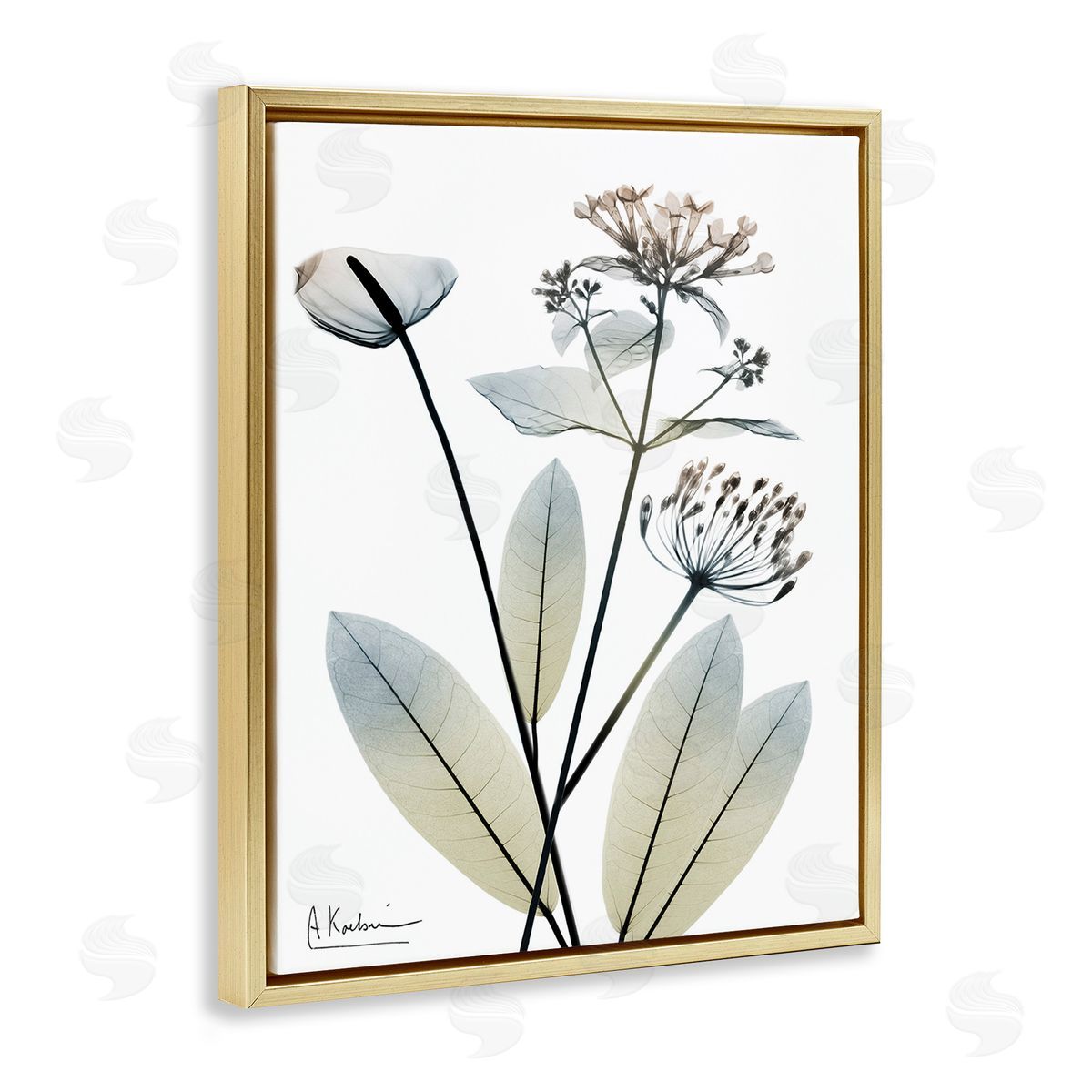 Albert Koetsier Contemporary Flower Shapes Gold Floating Frame Canvas Wall Art Print