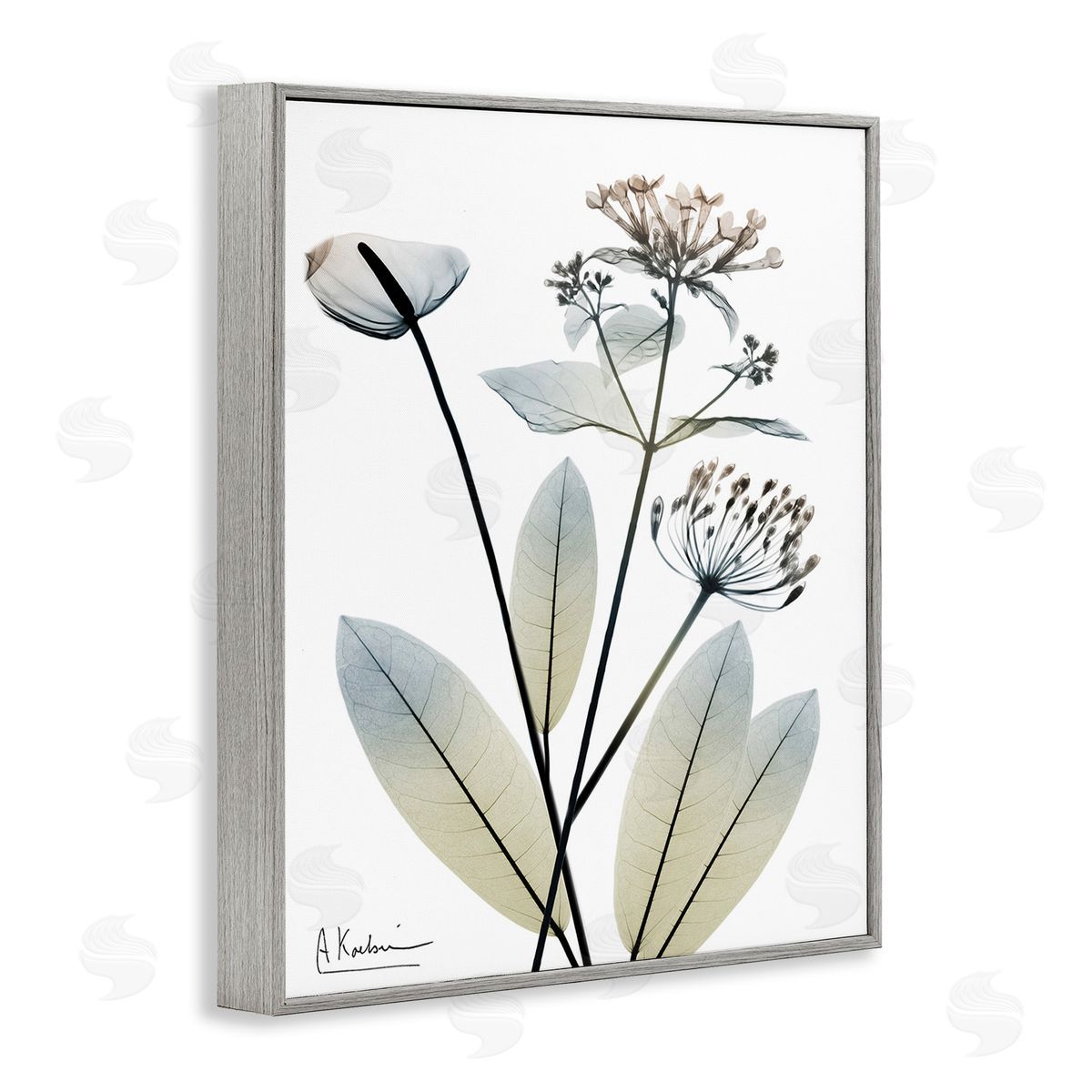 Albert Koetsier Contemporary Flower Shapes Gray Framed Giclee Wall Art Print