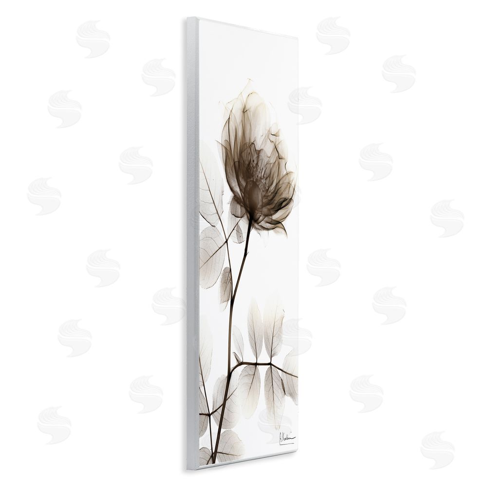 Albert Koetsier Contemporary X-Ray Flower