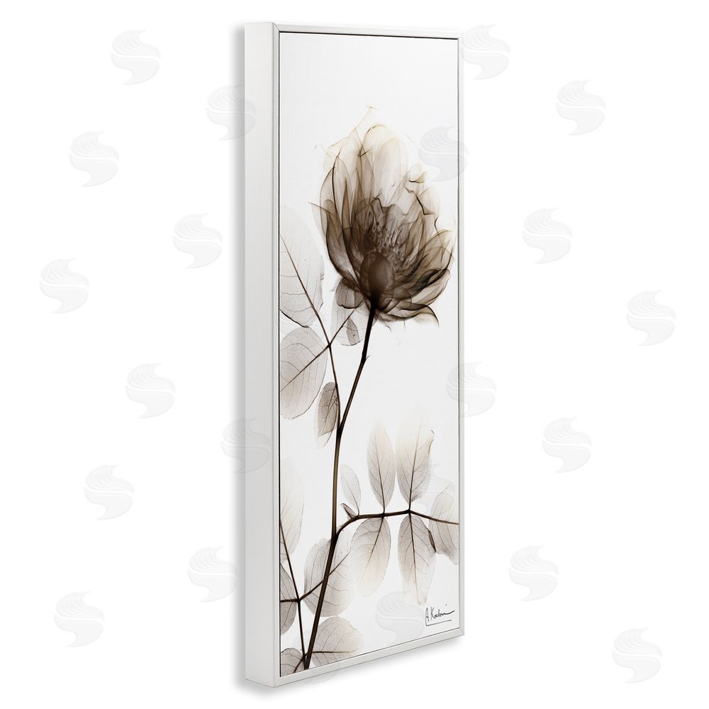 Albert Koetsier Contemporary X-Ray Flower