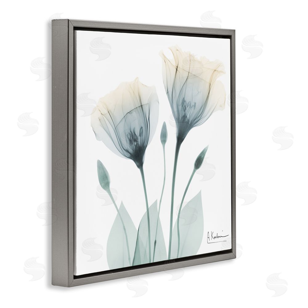 Albert Koetsier Opaque Tulip Duo Gray Floating Frame Canvas Wall Art Print