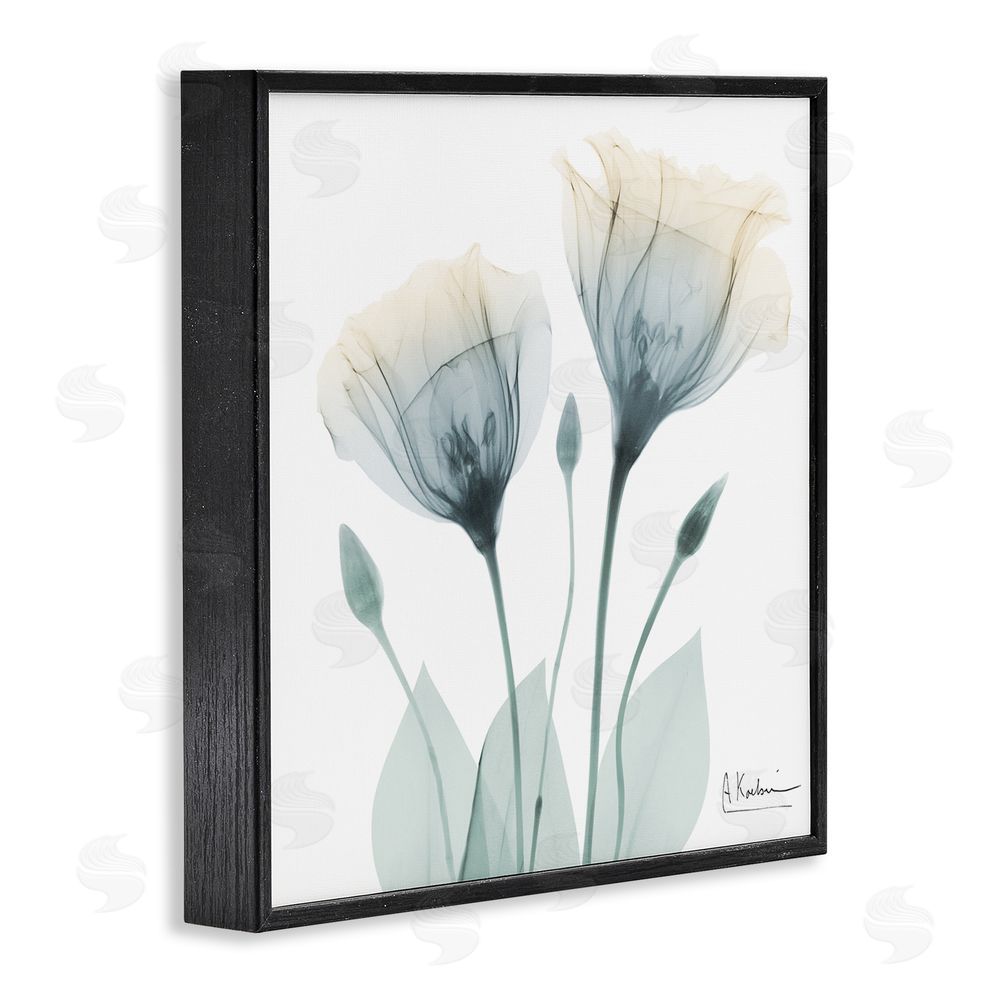 Albert Koetsier Opaque Tulip Duo Black Framed Giclee Wall Art Print