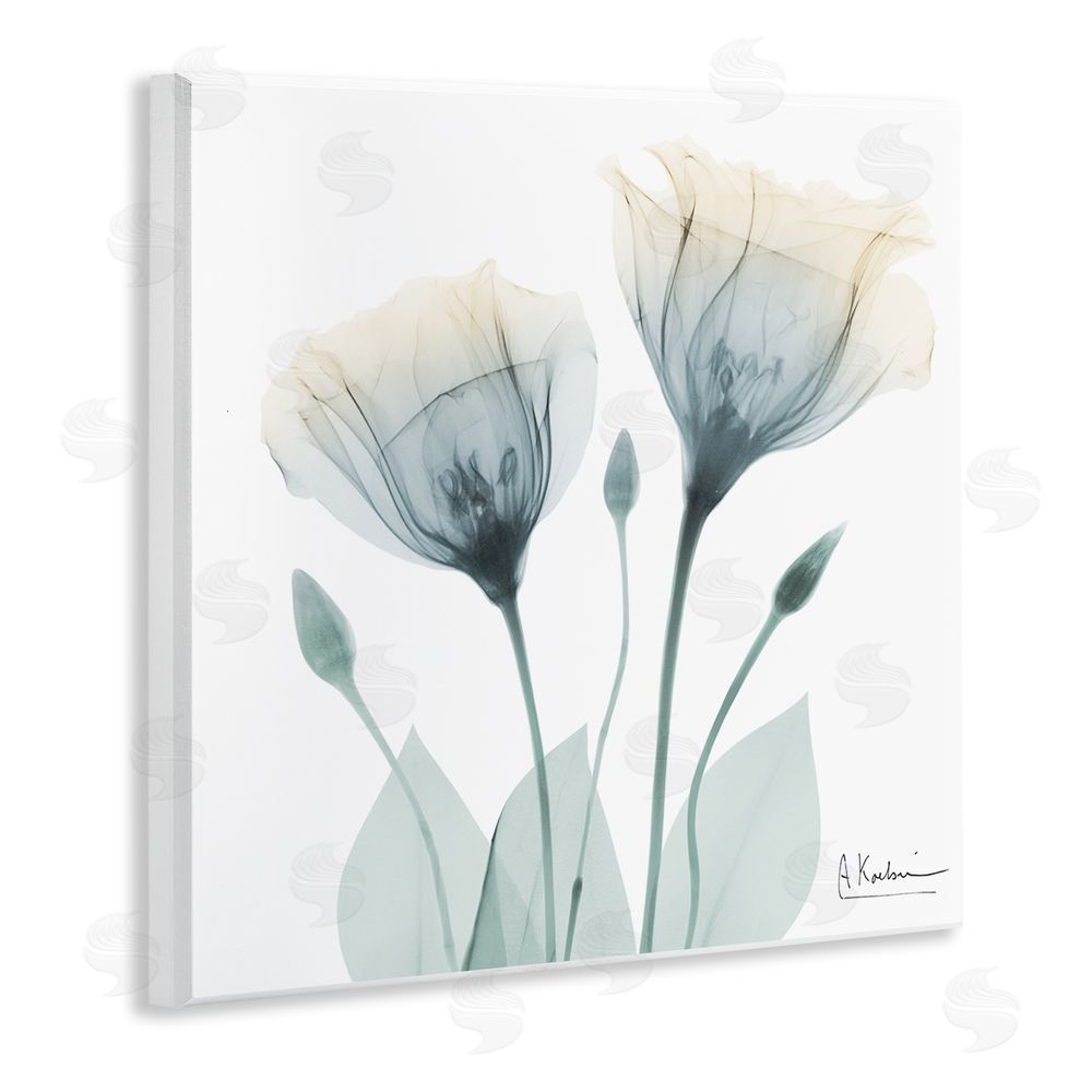 Albert Koetsier Opaque Tulip Duo Wooden Wall Plaque Art Print