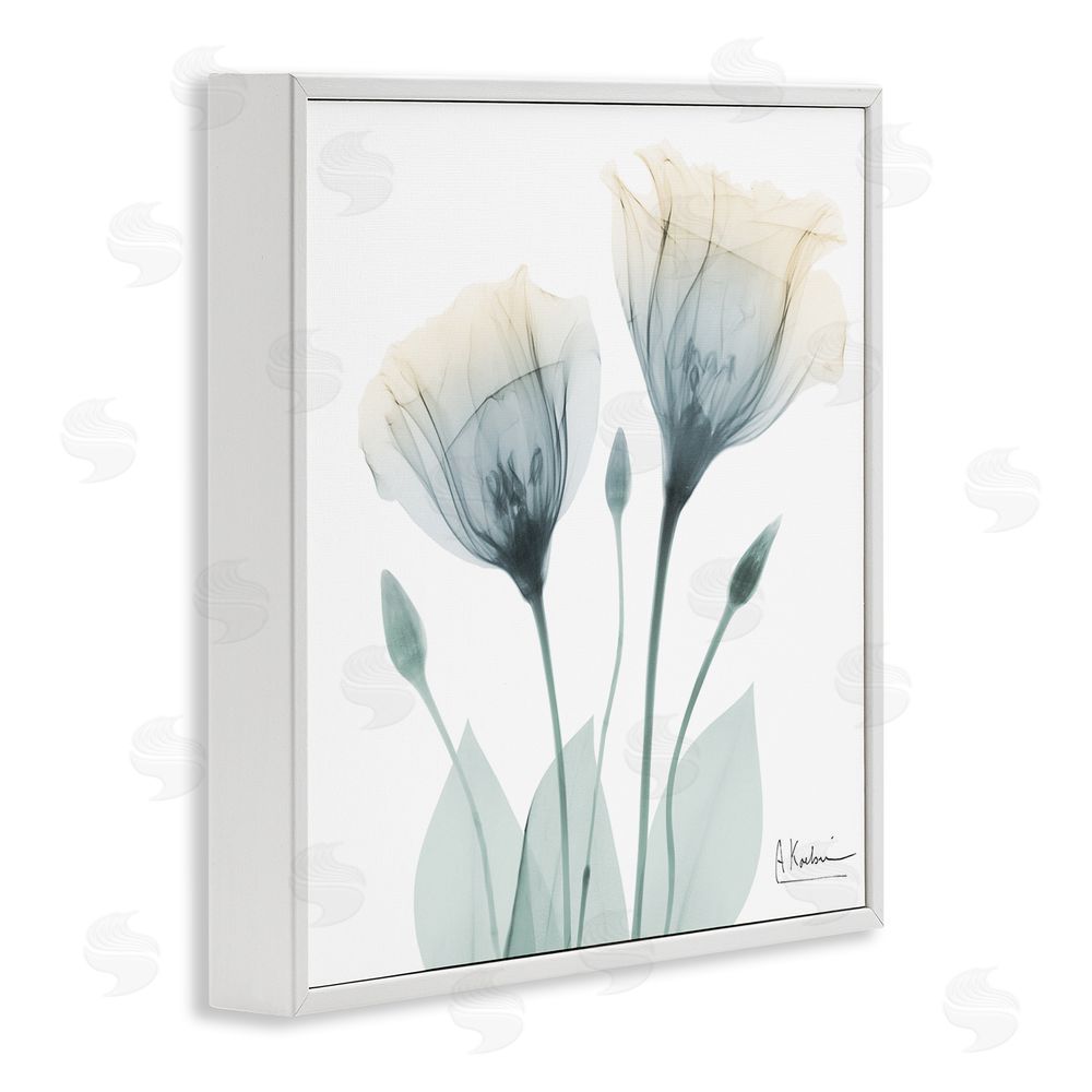 Albert Koetsier Opaque Tulip Duo White Framed Giclee Wall Art Print