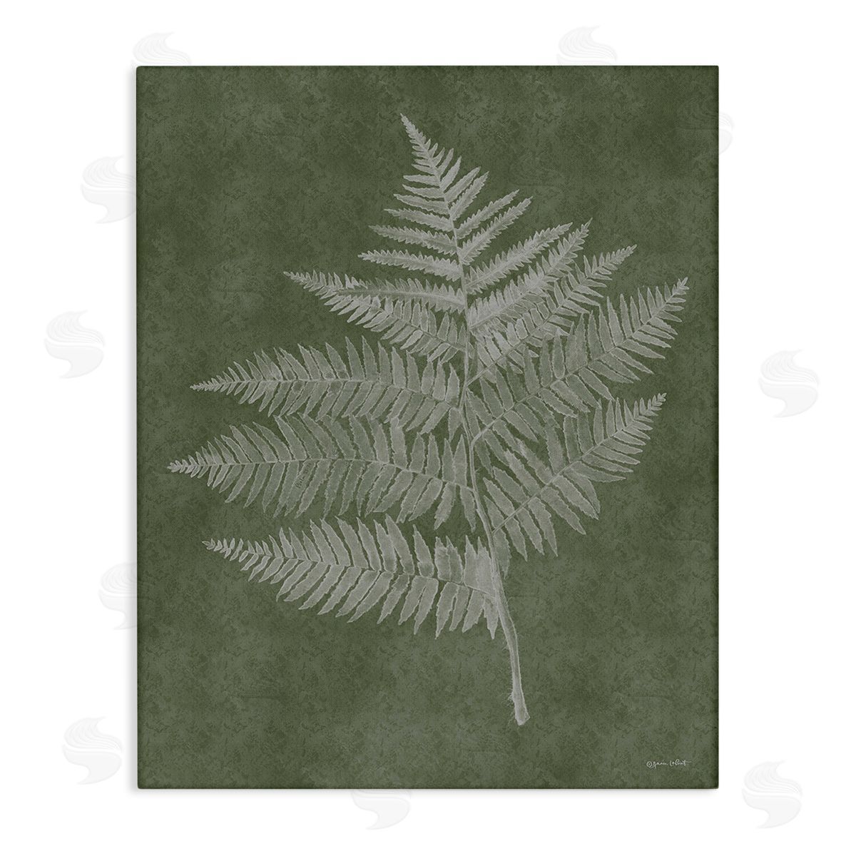 Annie LaPoint Asymmetrical Fern Plant Canvas Wall Art Print