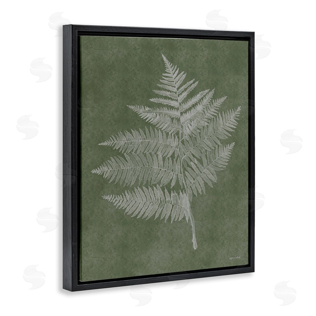 Annie LaPoint Asymmetrical Fern Plant Black Floating Frame Canvas Wall Art Print