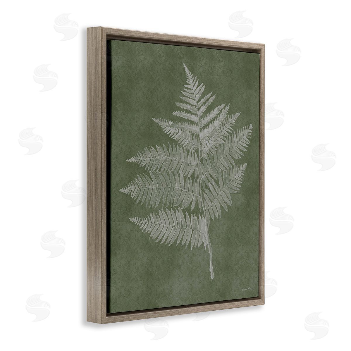 Annie LaPoint Asymmetrical Fern Plant Brown Floating Frame Canvas Wall Art Print