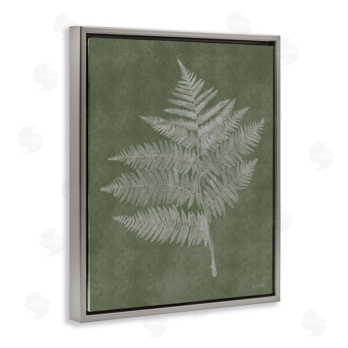 Annie LaPoint Asymmetrical Fern Plant Gray Floating Frame Canvas Wall Art Print