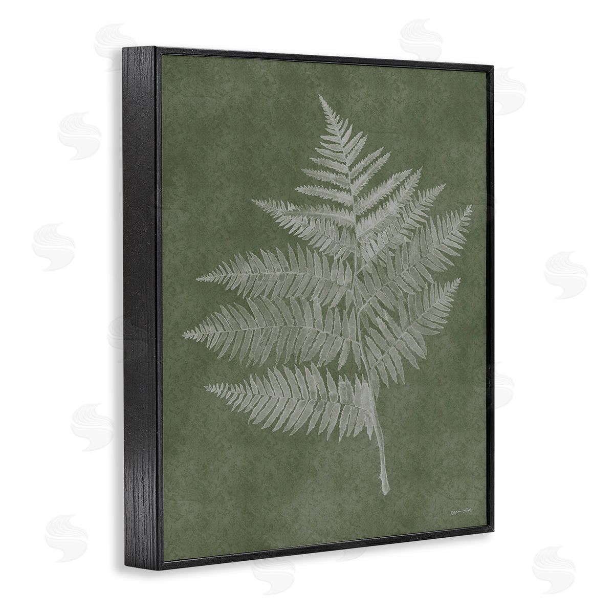 Annie LaPoint Asymmetrical Fern Plant Black Framed Giclee Wall Art Print